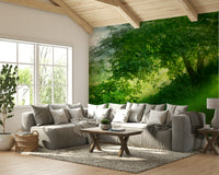 Open grass field wall wallpaper
