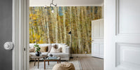 Colorful fall trees wall mural
