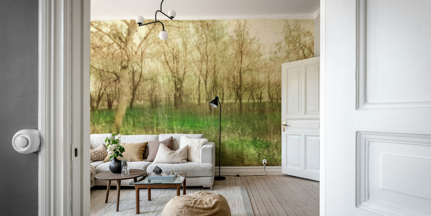 Filtered light forest scene wallpaper
