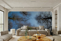 Serene sky view wall mural
