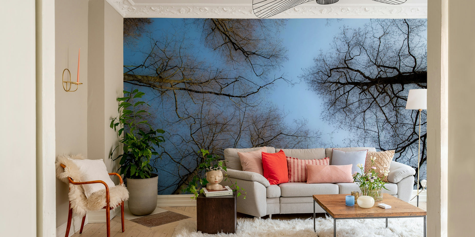 Bare tree canopy mural wallpaper
