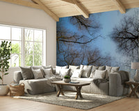 Blue sky and branches wall mural
