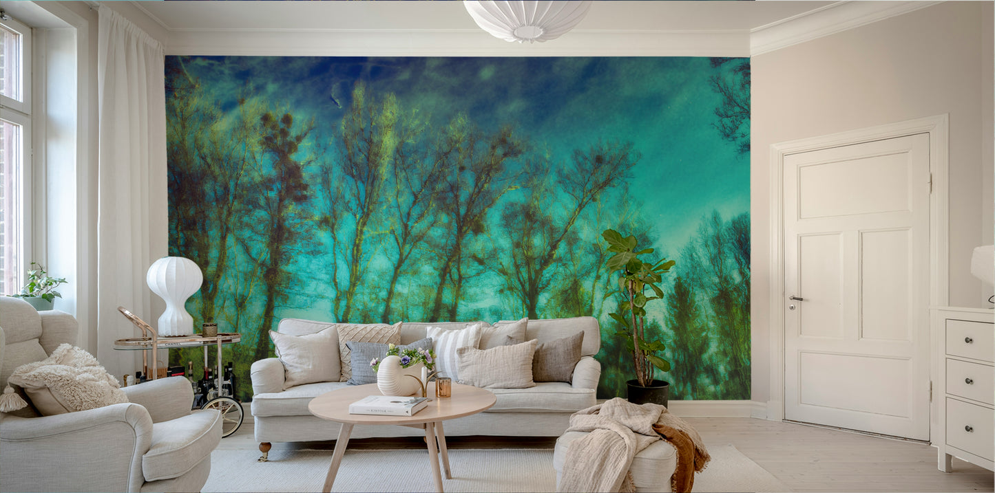 Still water and forest reflection mural
