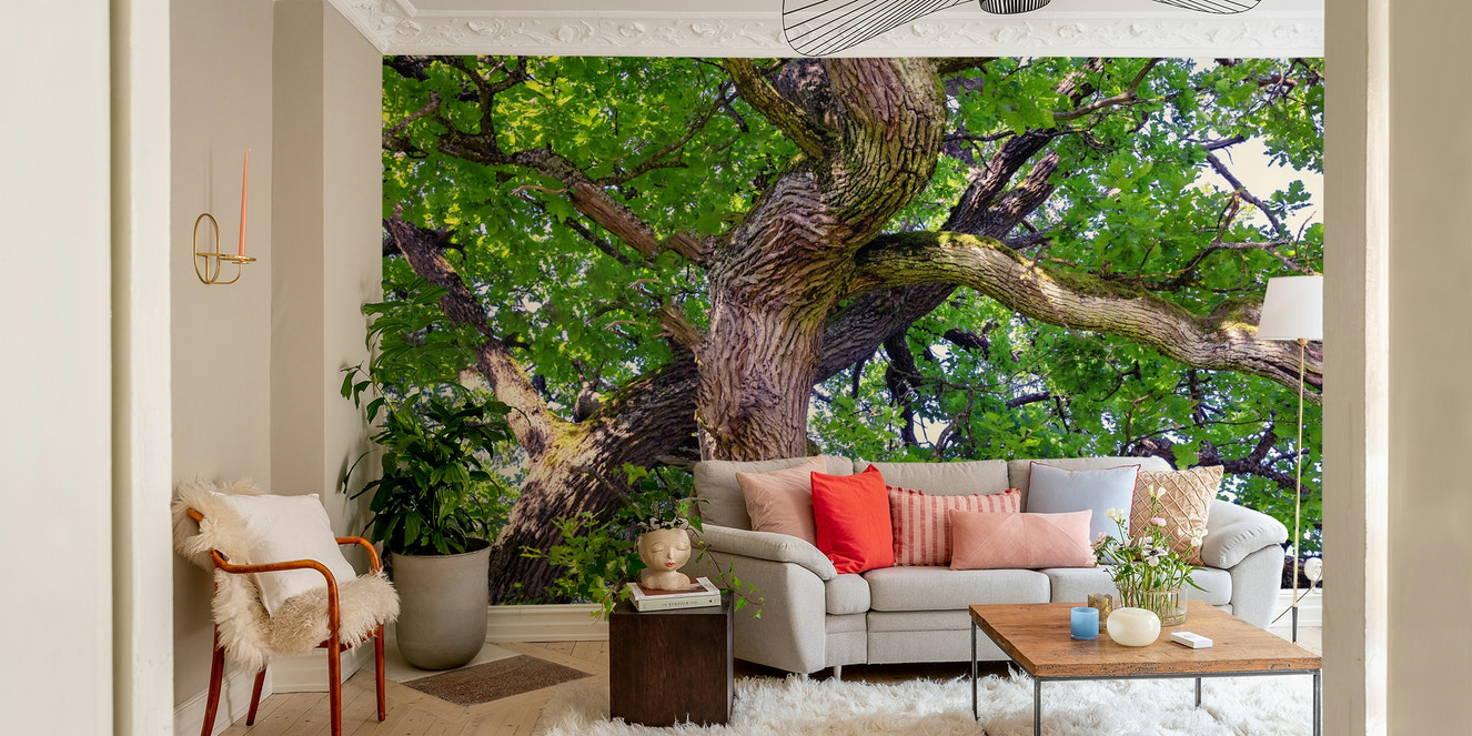Oak tree canopy mural wallpaper

