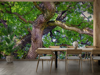 Nature photography tree mural
