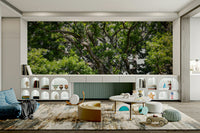 Peaceful tree top view wallpaper
