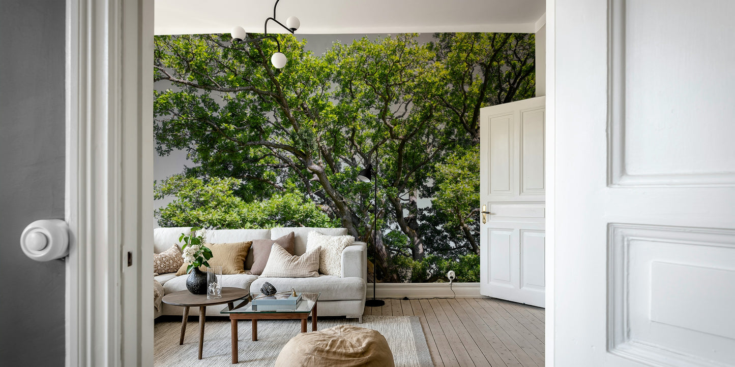 Natural oak tree wallpaper for walls
