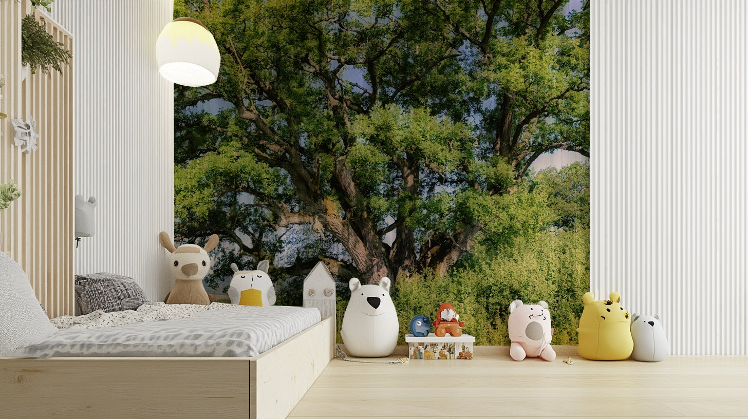 Majestic oak tree mural wallpaper
