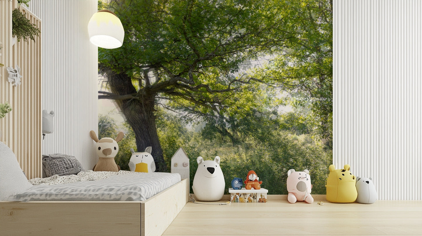 Tranquil tree and foliage wallpaper
