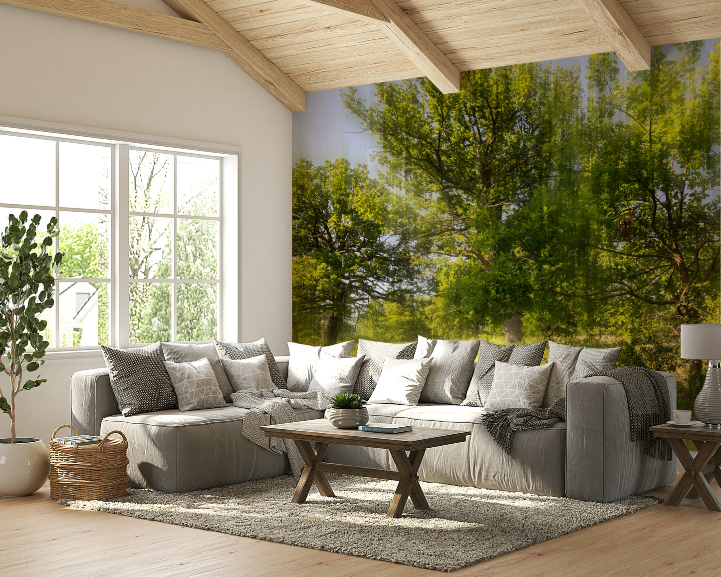 Lush trees with soft light wallpaper
