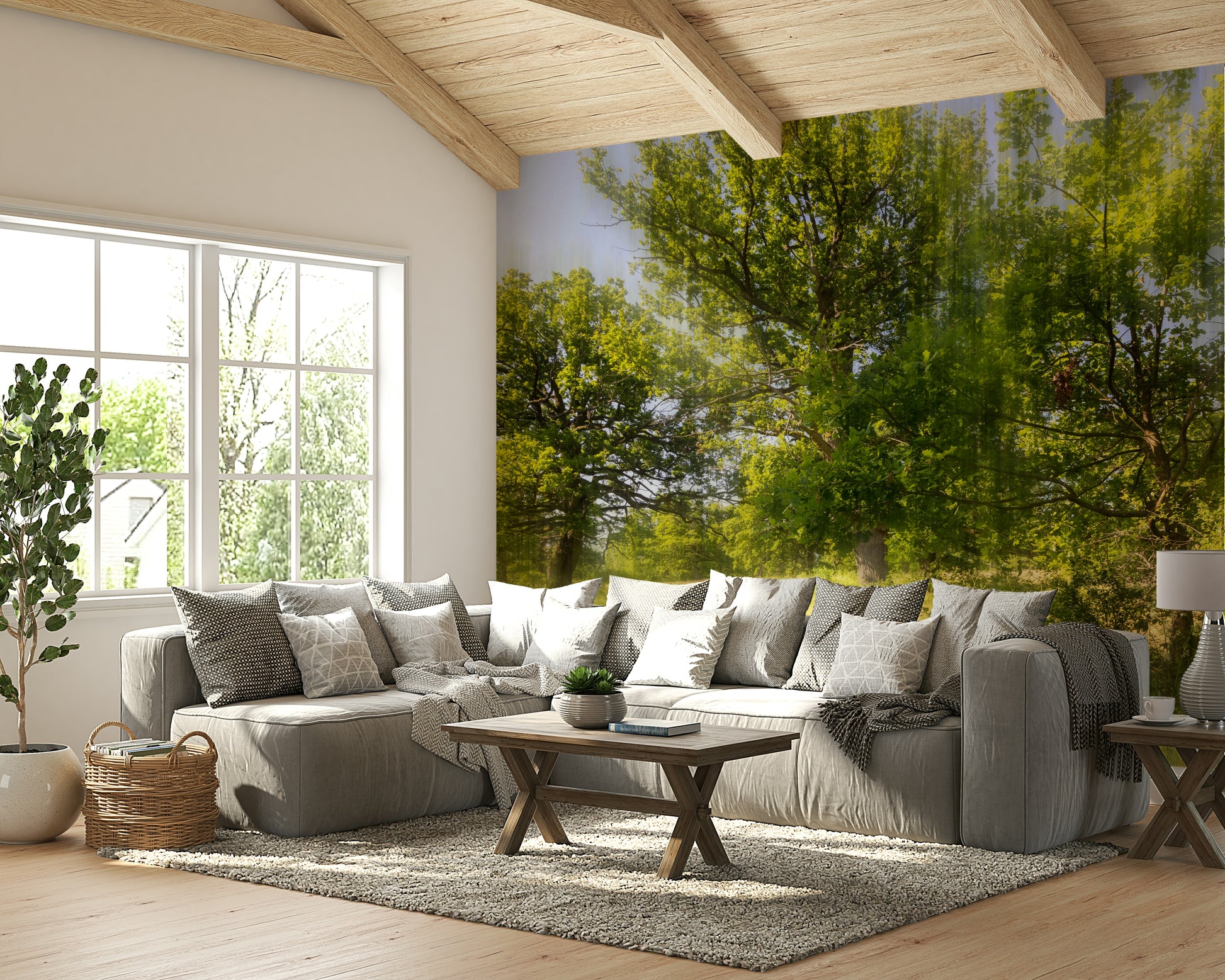 Lush trees with soft light wallpaper
