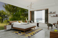 Quiet landscape photo mural
