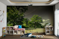 Calm landscape mural wallpaper
