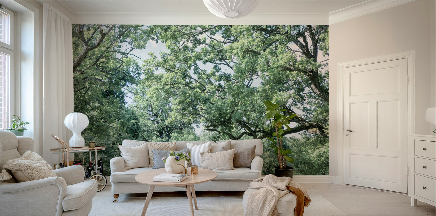 Quiet trees and field wallpaper
