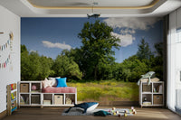 Forest canopy and sky wallpaper
