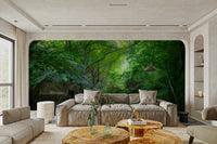 Quiet forest walk wall art
