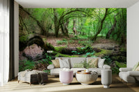 Tranquil green forest wall mural
