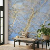 Soft blue sky with subtle branch silhouettes on a wall.

