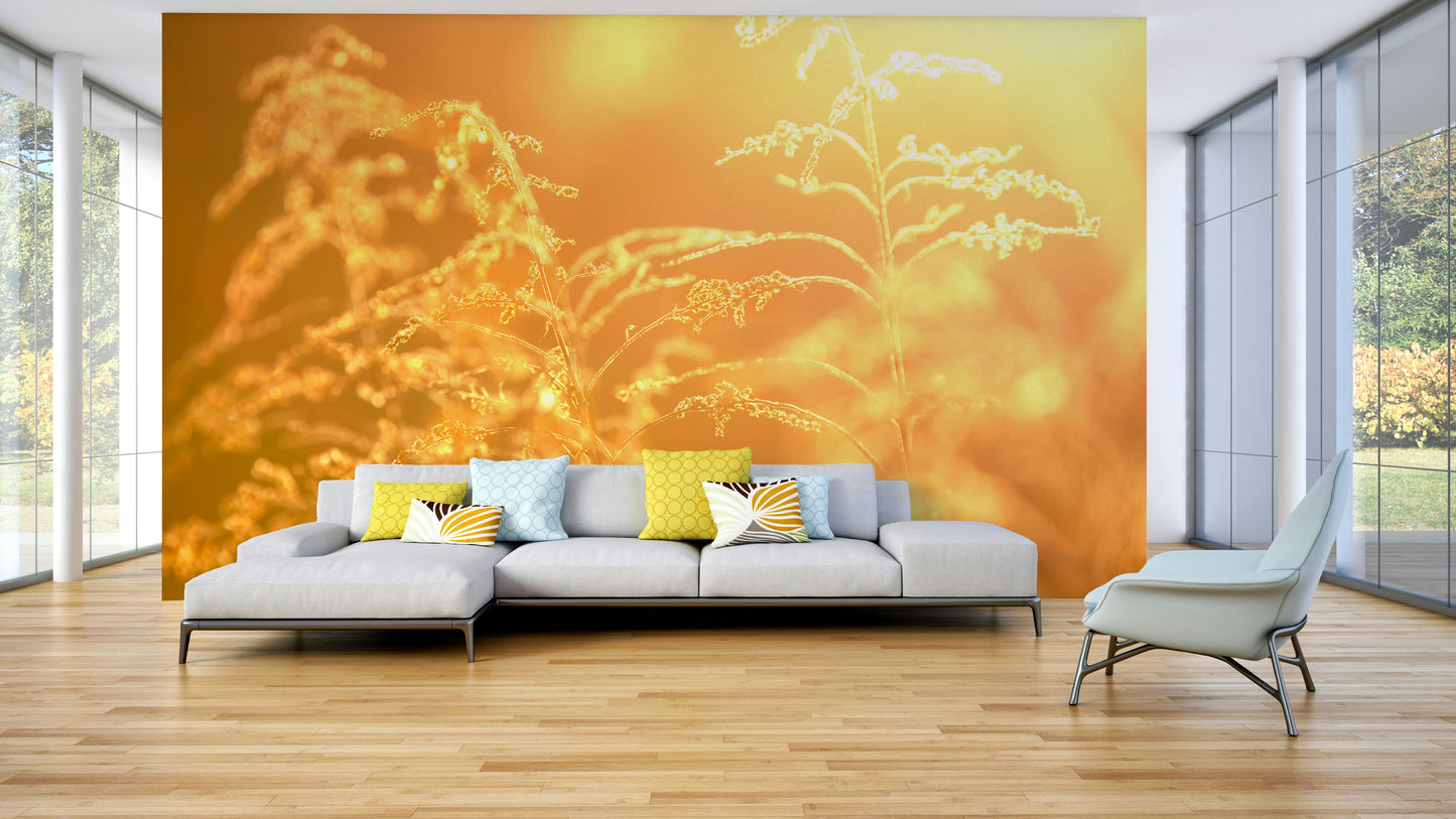 Tranquil field of lush green and golden grasses.

