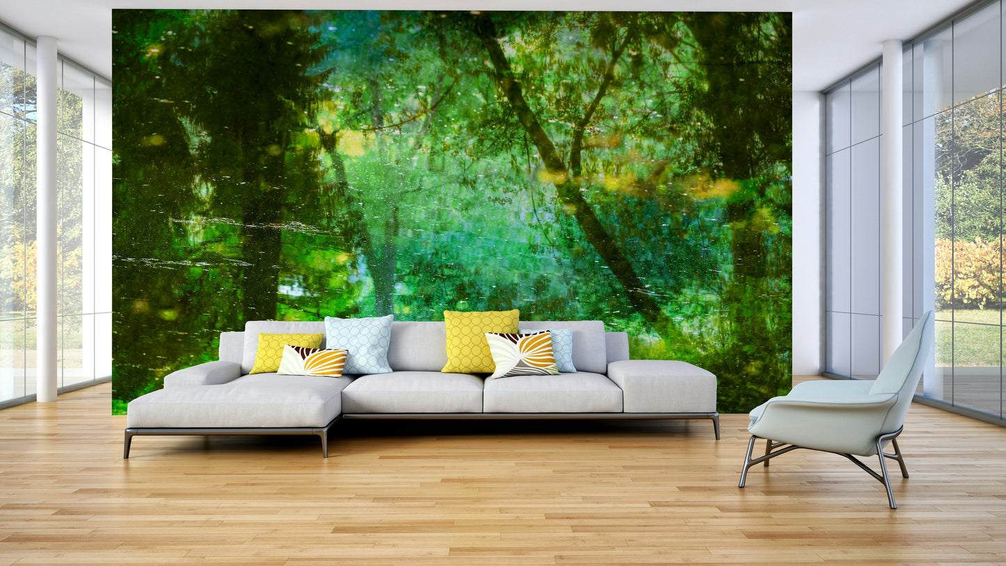 Clear reflections of trees and sky.

