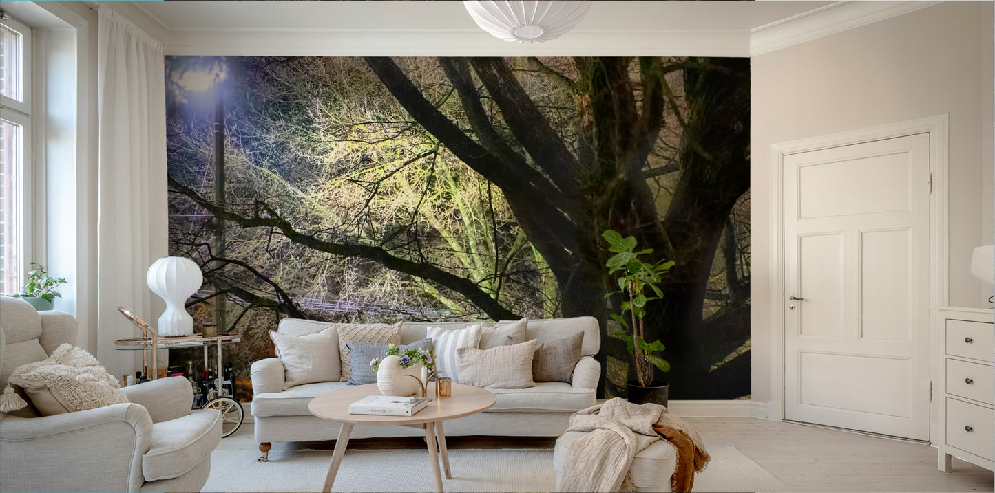 Deep blues, blacks, and subtle warm highlights.

