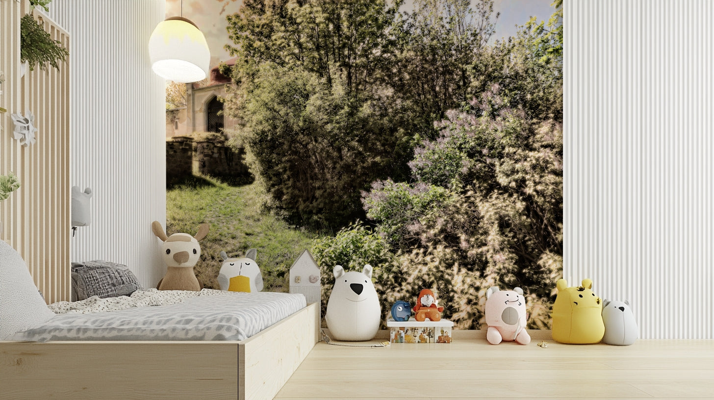 Soft, diffused light filtering through trees.

