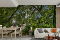 Wall decor evoking peace and outdoor beauty.

