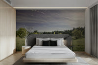 Serene landscape photography with trees.

