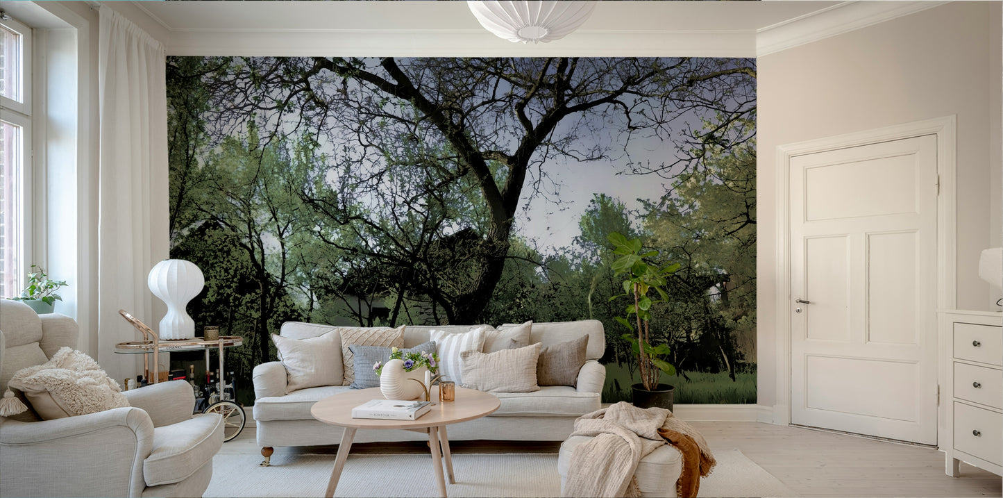 Soft light filtering through tree canopies.

