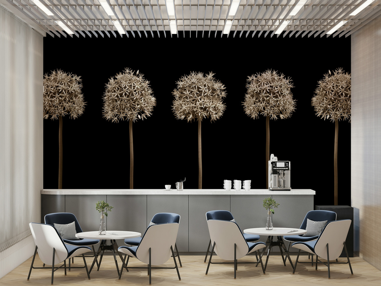 Five allium seed heads in a row.

