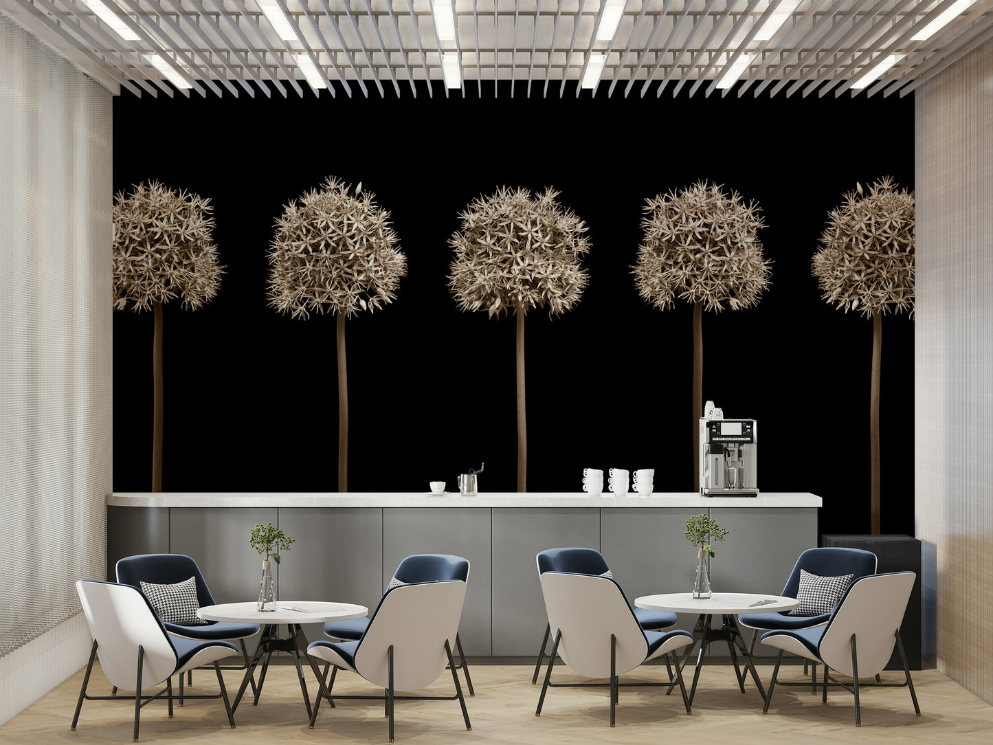 Five allium seed heads in a row.

