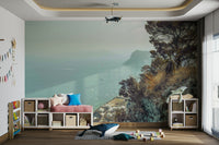 Panoramic coastal vista.

