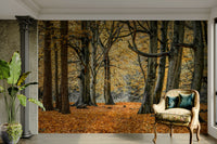 High-resolution image of an autumn forest.

