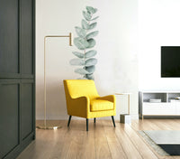 Delicate eucalyptus branches.

