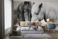 High-resolution image of horses.

