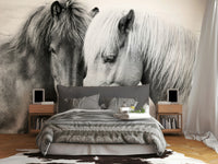 Natural light highlighting their beauty.
