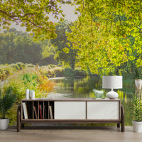 Inviting and calming aesthetic.

