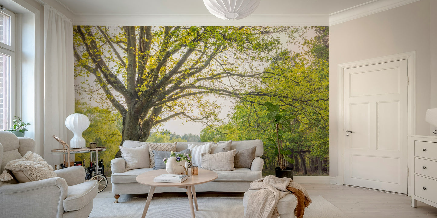 Peaceful serene landscape.

