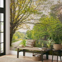 Soft, warm spring sunlight.

