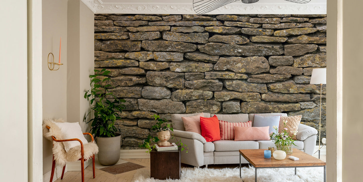 Varied grey and earthy tones.

