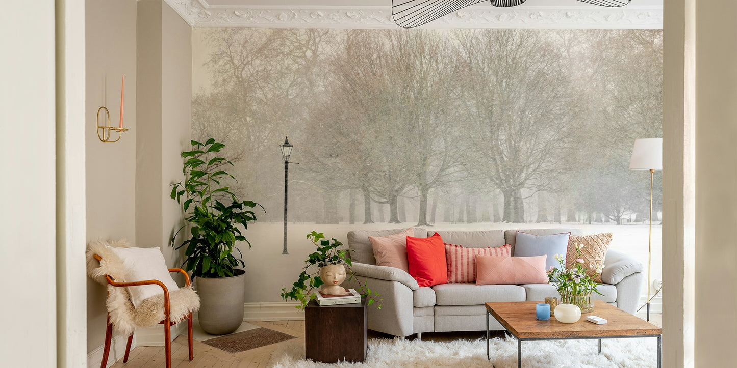 Bare trees covered in snow.

