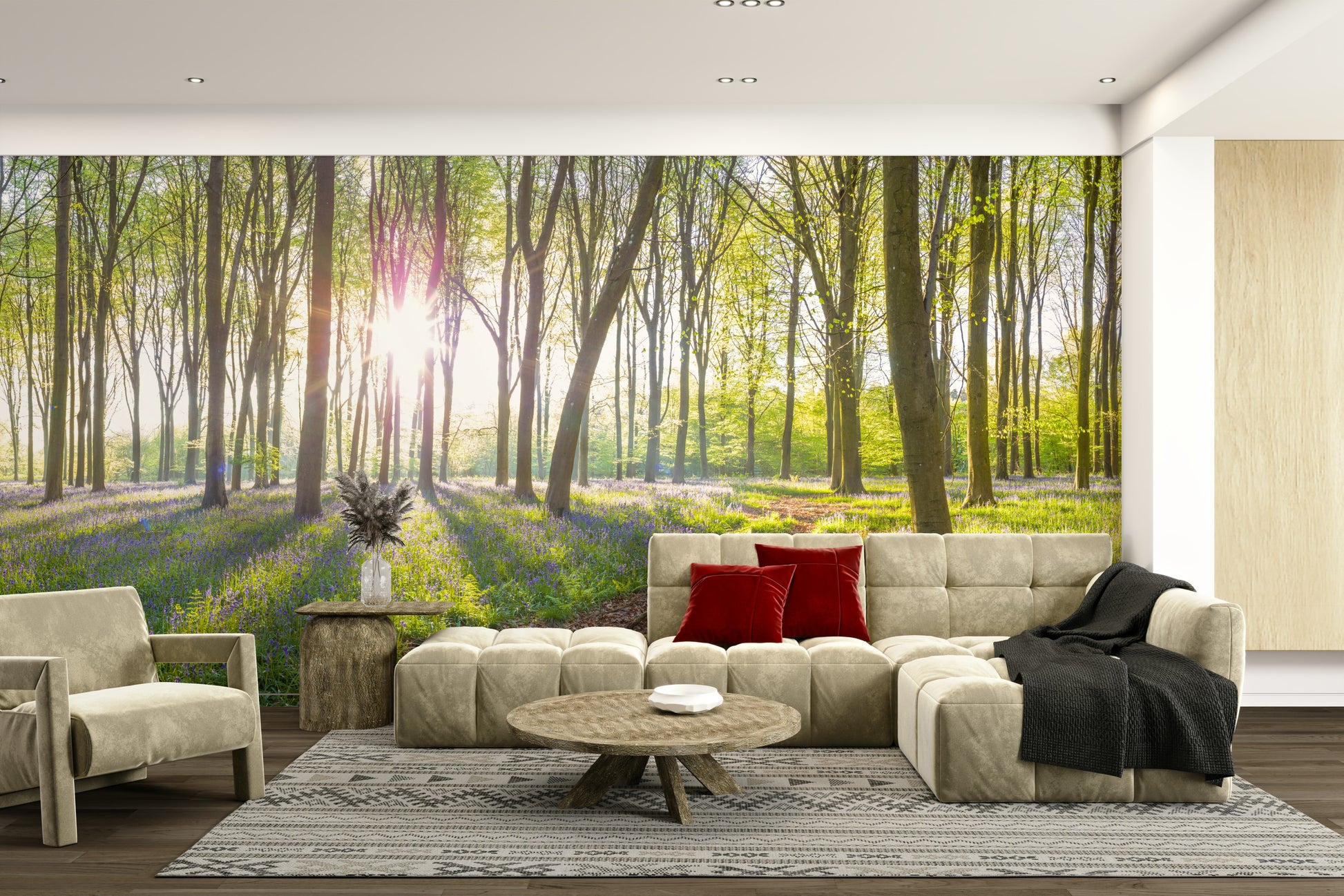 Forest scene with soft, ethereal light.

