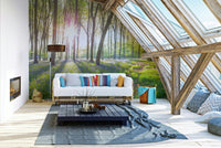 Enchanting woodland landscape.

