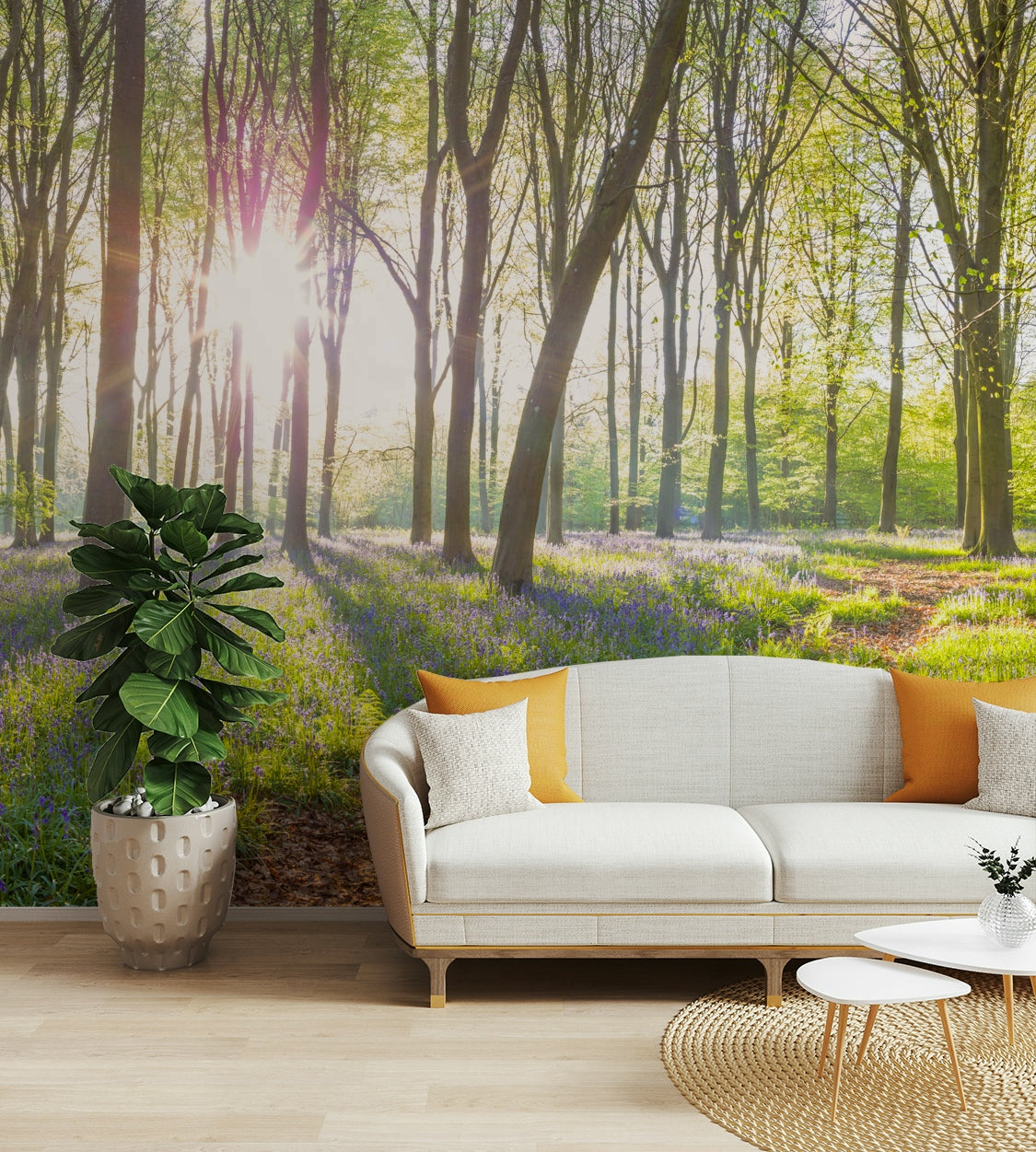 Focus on light filtering through trees and natural elements.

