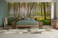 High-resolution image of a forest.

