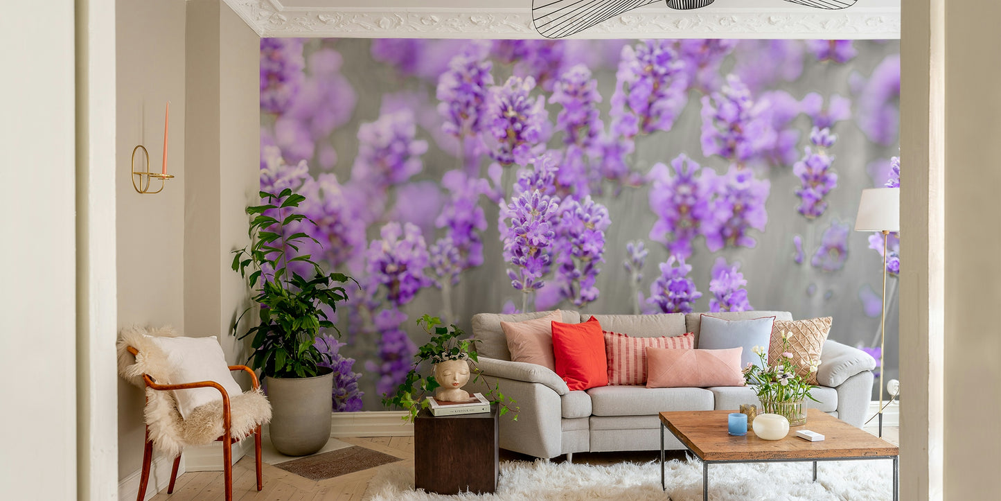 purple lavender stretching into the distance

