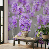 soft blue sky above a field

