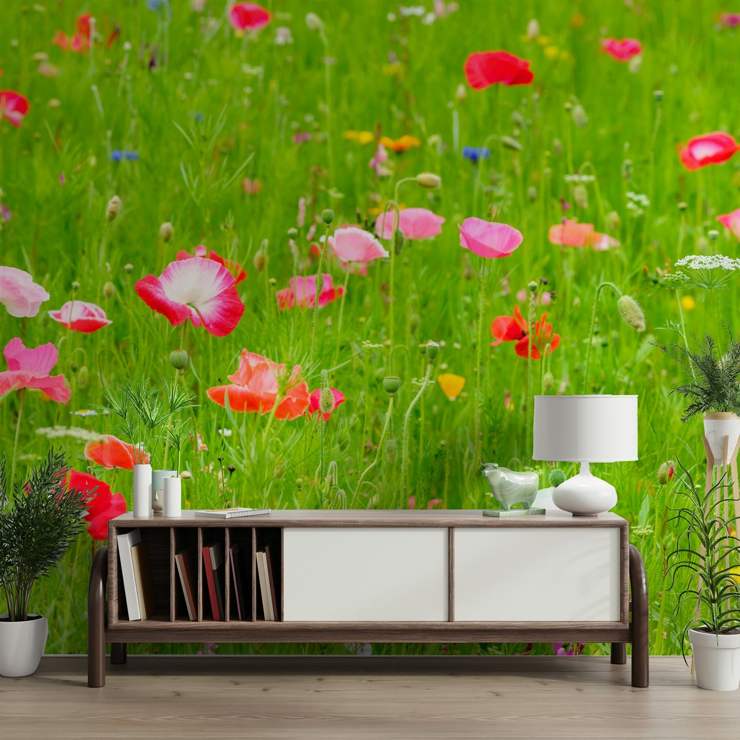 poppies swaying in the breeze

