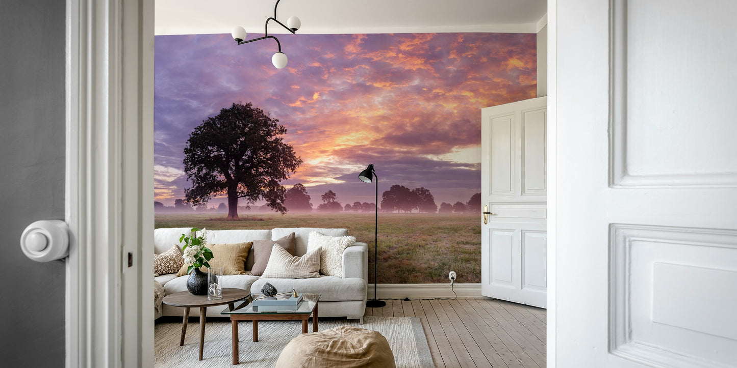 solitary tree in a foggy meadow

