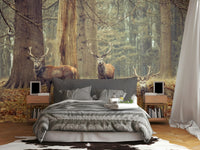 three majestic stags in a forest

